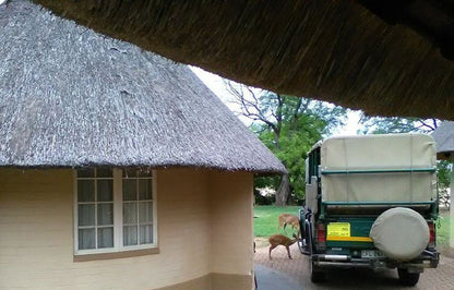 2 Night Just Safari Get Away To Kruger Park South Kruger Park Mpumalanga South Africa Truck, Vehicle