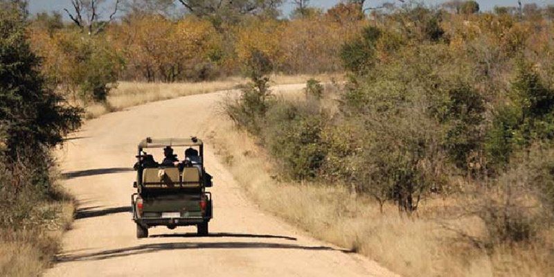 3 Day Kruger Experience Lodge Tent Balule Nature Reserve Mpumalanga South Africa Vehicle