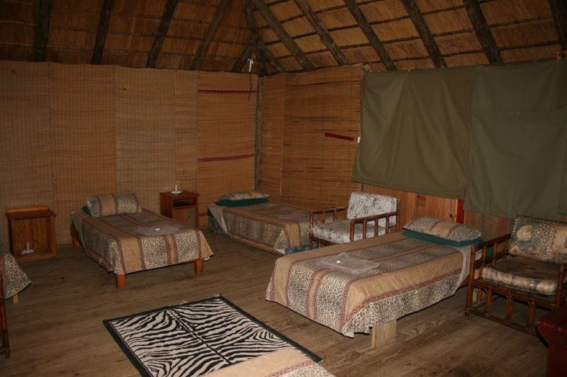 2 Night 3 Day Marc S Treehouse Kruger Safari Hoedspruit Limpopo Province South Africa Sepia Tones, Tent, Architecture