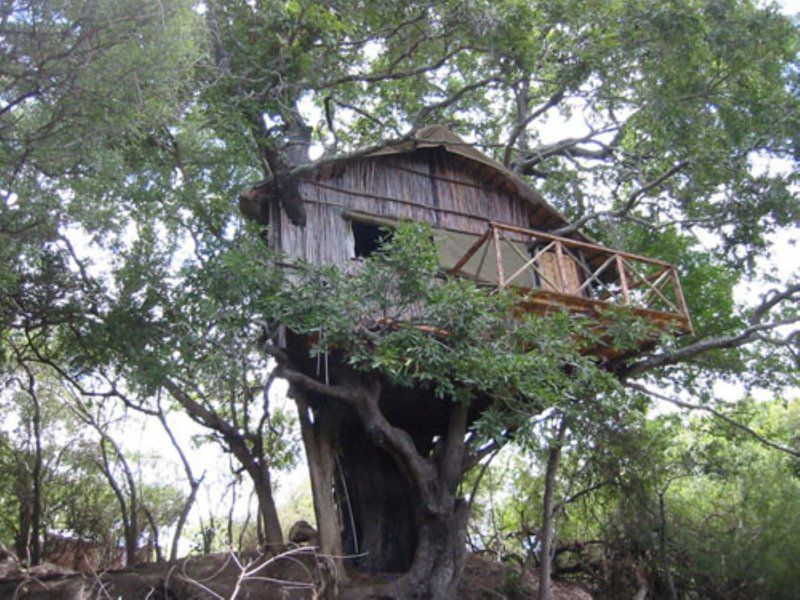 2 Night 3 Day Marc S Treehouse Kruger Safari Hoedspruit Limpopo Province South Africa Unsaturated, Building, Architecture, Tree, Plant, Nature, Wood