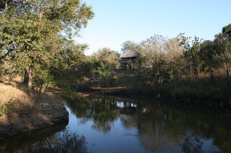 2 Night 3 Day Marc S Treehouse Kruger Safari Hoedspruit Limpopo Province South Africa River, Nature, Waters, Tree, Plant, Wood