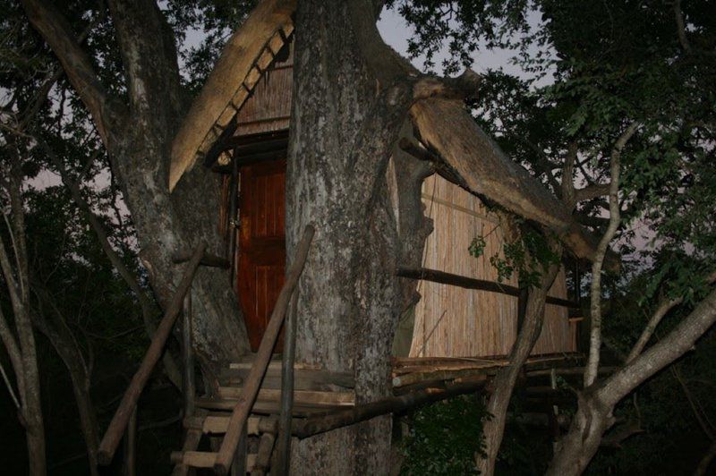 2 Night 3 Day Marc S Treehouse Kruger Safari Hoedspruit Limpopo Province South Africa Building, Architecture, Cabin, Tree, Plant, Nature, Wood