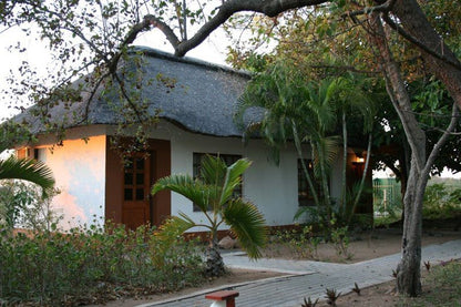 2 Night 3 Day Tremisana Lodge Kruger Safari Hoedspruit Limpopo Province South Africa Building, Architecture, House, Palm Tree, Plant, Nature, Wood