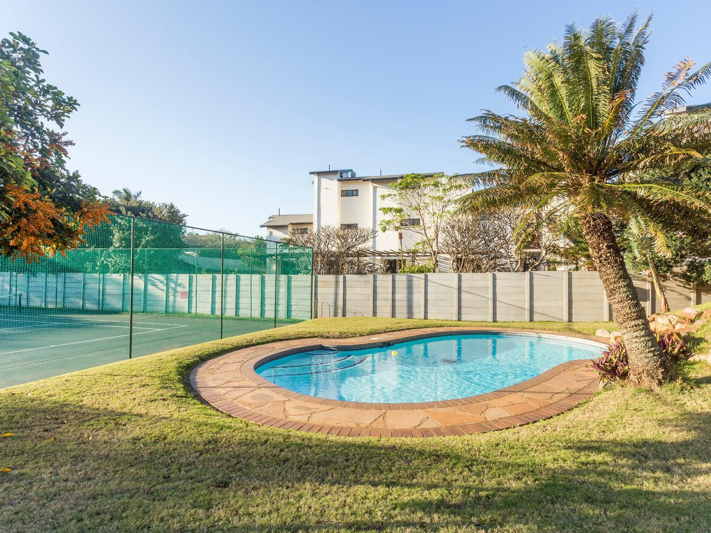 3 Driftwood Ballito Kwazulu Natal South Africa Complementary Colors, Palm Tree, Plant, Nature, Wood, Swimming Pool