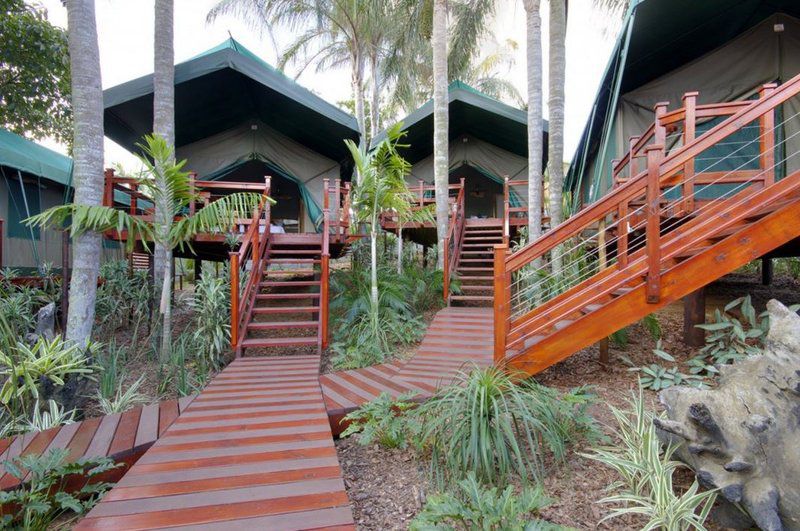 3 Night 4 Day Discover St Lucia Package St Lucia Kwazulu Natal South Africa House, Building, Architecture, Palm Tree, Plant, Nature, Wood