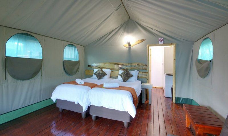 3 Night 4 Day Discover St Lucia Package St Lucia Kwazulu Natal South Africa Tent, Architecture, Bedroom