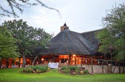 3 Night Elphant Adventure Package Mabalingwe Nature Reserve Bela Bela Warmbaths Limpopo Province South Africa 