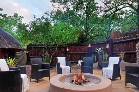 3 Night Elphant Adventure Package Mabalingwe Nature Reserve Bela Bela Warmbaths Limpopo Province South Africa Fire, Nature, Garden, Plant
