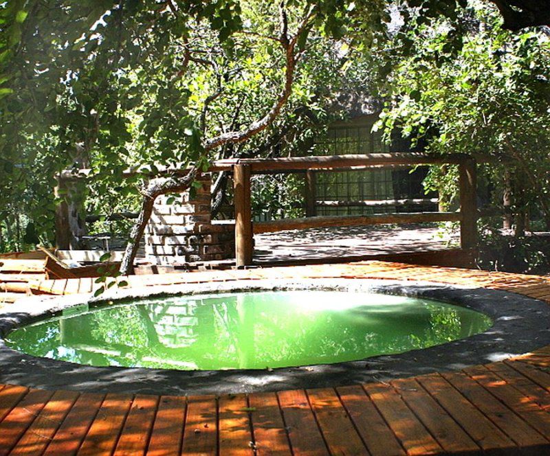 3 Rondavels Marloth Park Mpumalanga South Africa Garden, Nature, Plant, Swimming Pool