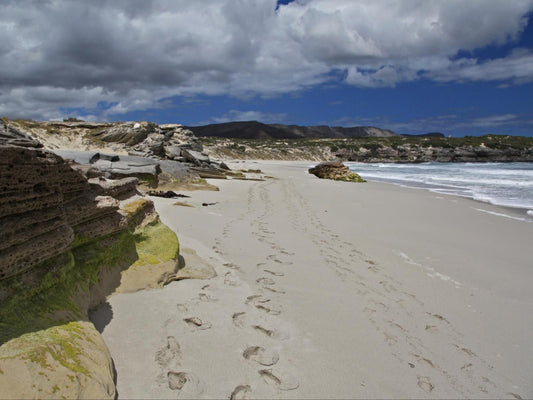 30 On Main De Kelders Western Cape South Africa Beach, Nature, Sand