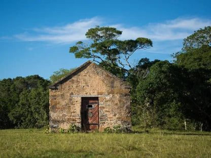 3040 On Freshwater Port Alfred Eastern Cape South Africa Complementary Colors, Barn, Building, Architecture, Agriculture, Wood