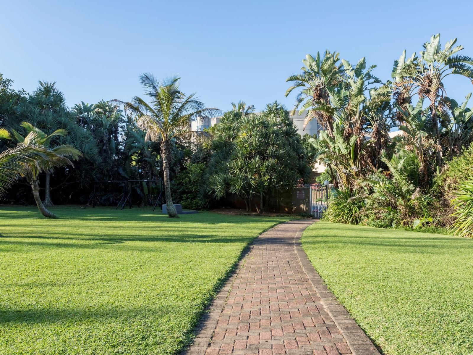 305 La Ballito Ballito Kwazulu Natal South Africa Complementary Colors, Palm Tree, Plant, Nature, Wood, Garden