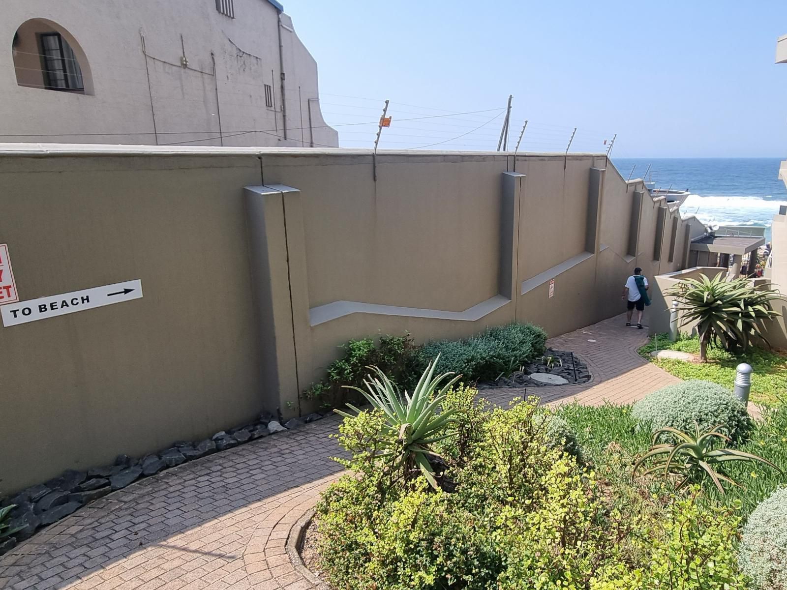 305 Manor Gardens Ballito Kwazulu Natal South Africa Complementary Colors, Palm Tree, Plant, Nature, Wood