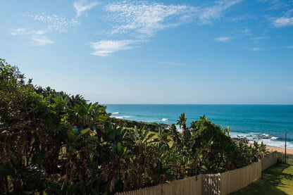 309 Kenwyn On Sea Ballito Kwazulu Natal South Africa Beach, Nature, Sand, Palm Tree, Plant, Wood, Ocean, Waters