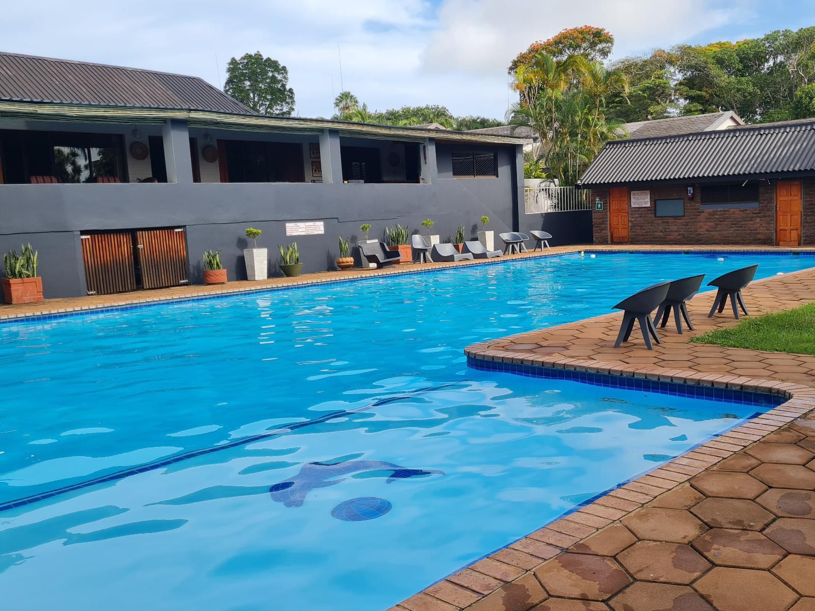 31 Manzini Chalets St Lucia Kwazulu Natal South Africa Complementary Colors, Swimming Pool