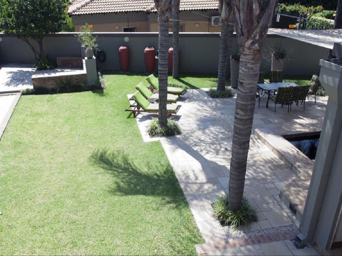 314 On Clark Guest House Brooklyn Pretoria Tshwane Gauteng South Africa House, Building, Architecture, Palm Tree, Plant, Nature, Wood, Garden, Swimming Pool