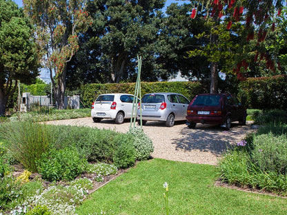 33 Strawberry Lane Constantia Cape Town Western Cape South Africa Plant, Nature, Tree, Wood, Garden, Car, Vehicle