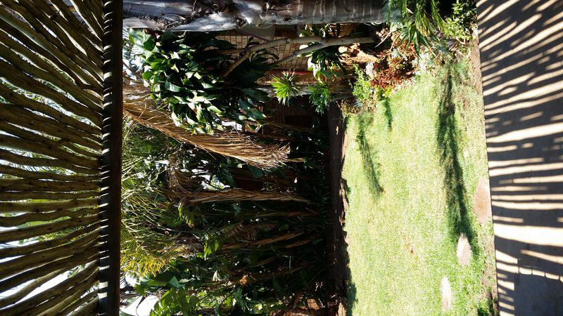 330 Drummorgan Die Hoewes Centurion Gauteng South Africa Palm Tree, Plant, Nature, Wood