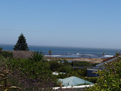 34 Disa Kommetjie Cape Town Western Cape South Africa Beach, Nature, Sand, Palm Tree, Plant, Wood