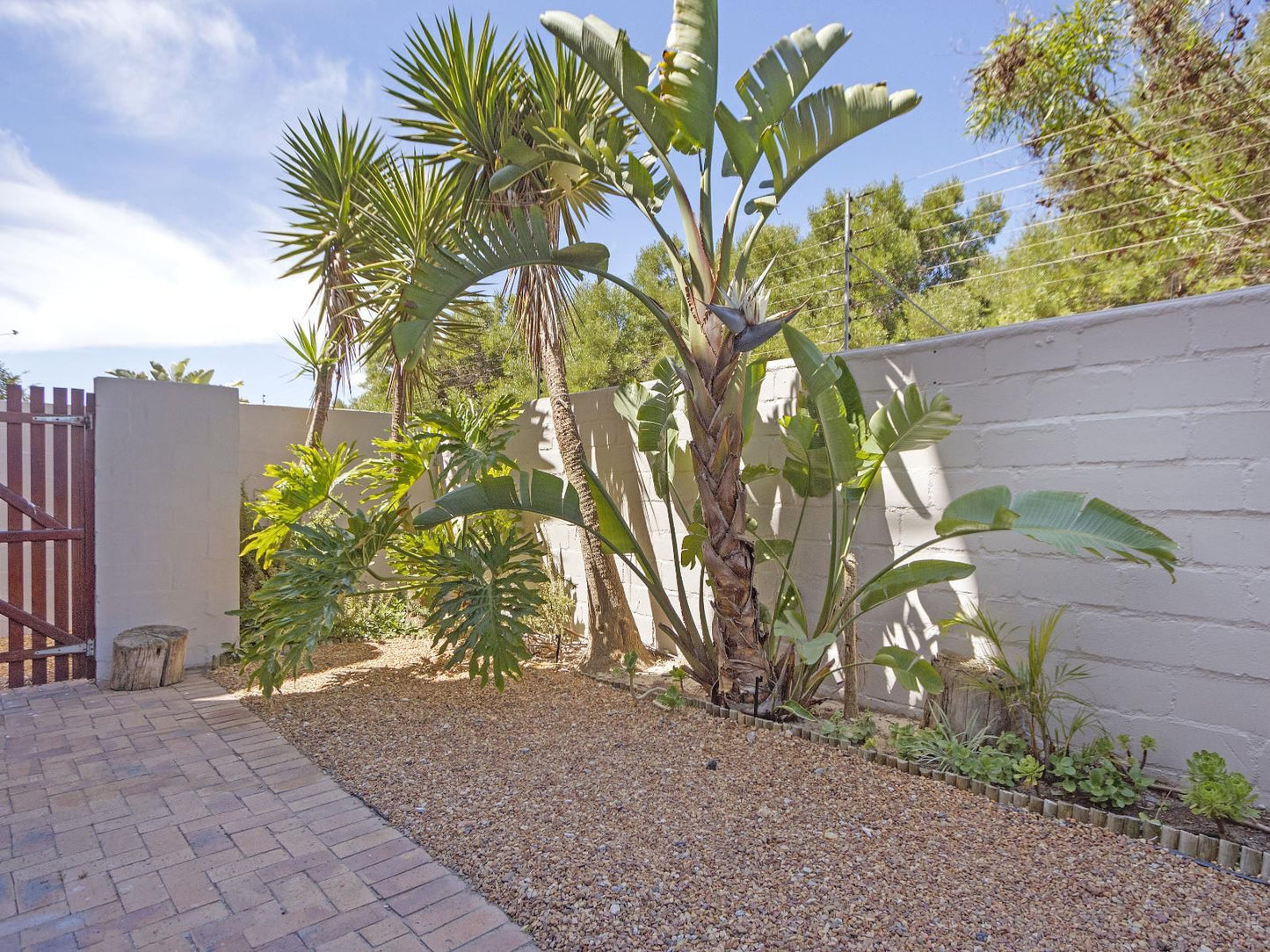 Island View 35 By Hostagents Big Bay Blouberg Western Cape South Africa Palm Tree, Plant, Nature, Wood, Garden