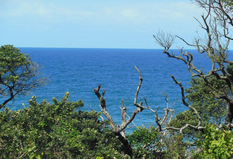 Paddy S Place 35 Magai Drive Zinkwazi Beach Zinkwazi Beach Nkwazi Kwazulu Natal South Africa Beach, Nature, Sand, Cliff, Tree, Plant, Wood