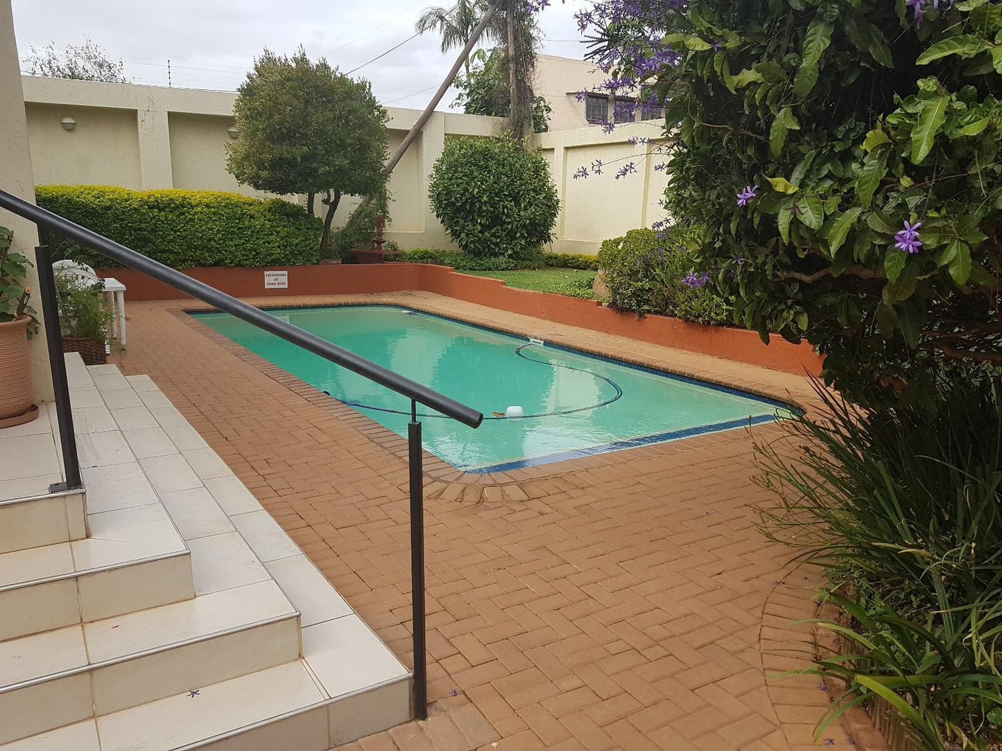 360 Eastwoods Guest House Arcadia Pretoria Tshwane Gauteng South Africa Palm Tree, Plant, Nature, Wood, Swimming Pool
