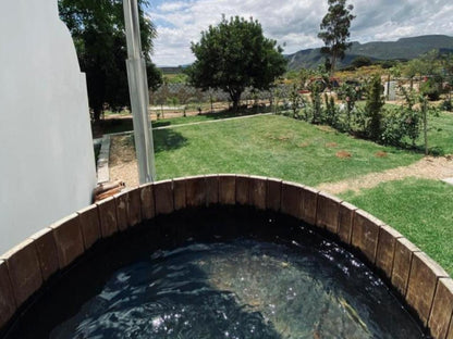 360 On 62 Montagu Western Cape South Africa Garden, Nature, Plant, Swimming Pool