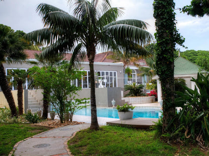 39 On Church, House, Building, Architecture, Palm Tree, Plant, Nature, Wood