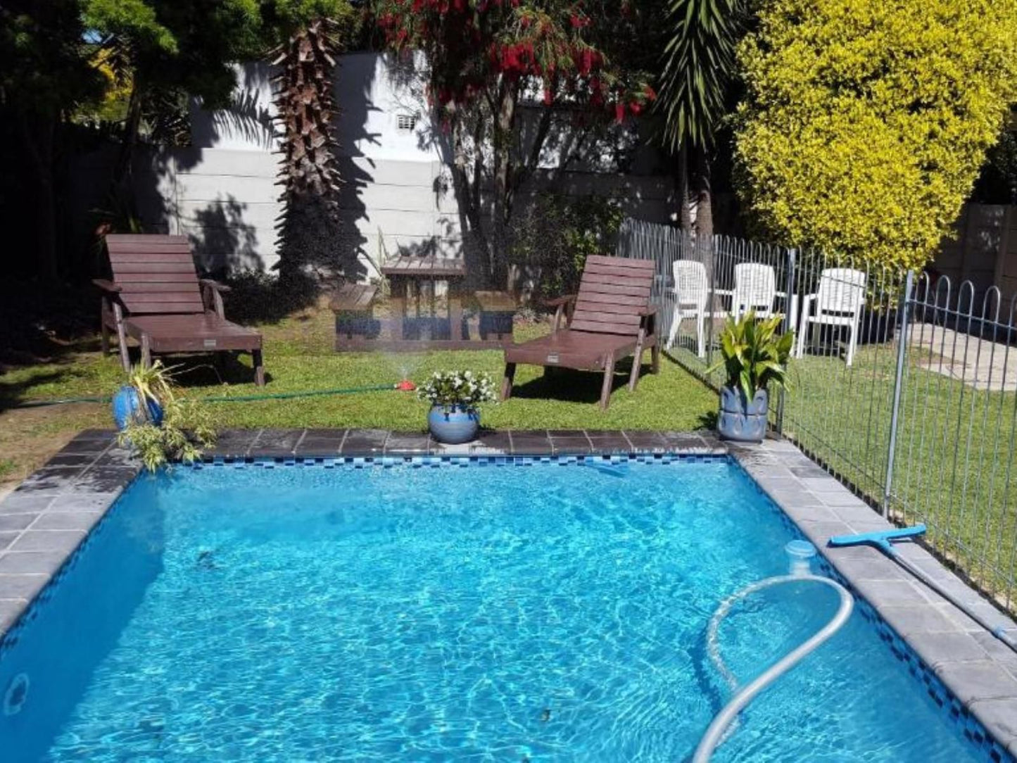 39 On Nile Guesthouse Perridgevale Port Elizabeth Eastern Cape South Africa Complementary Colors, Garden, Nature, Plant, Swimming Pool
