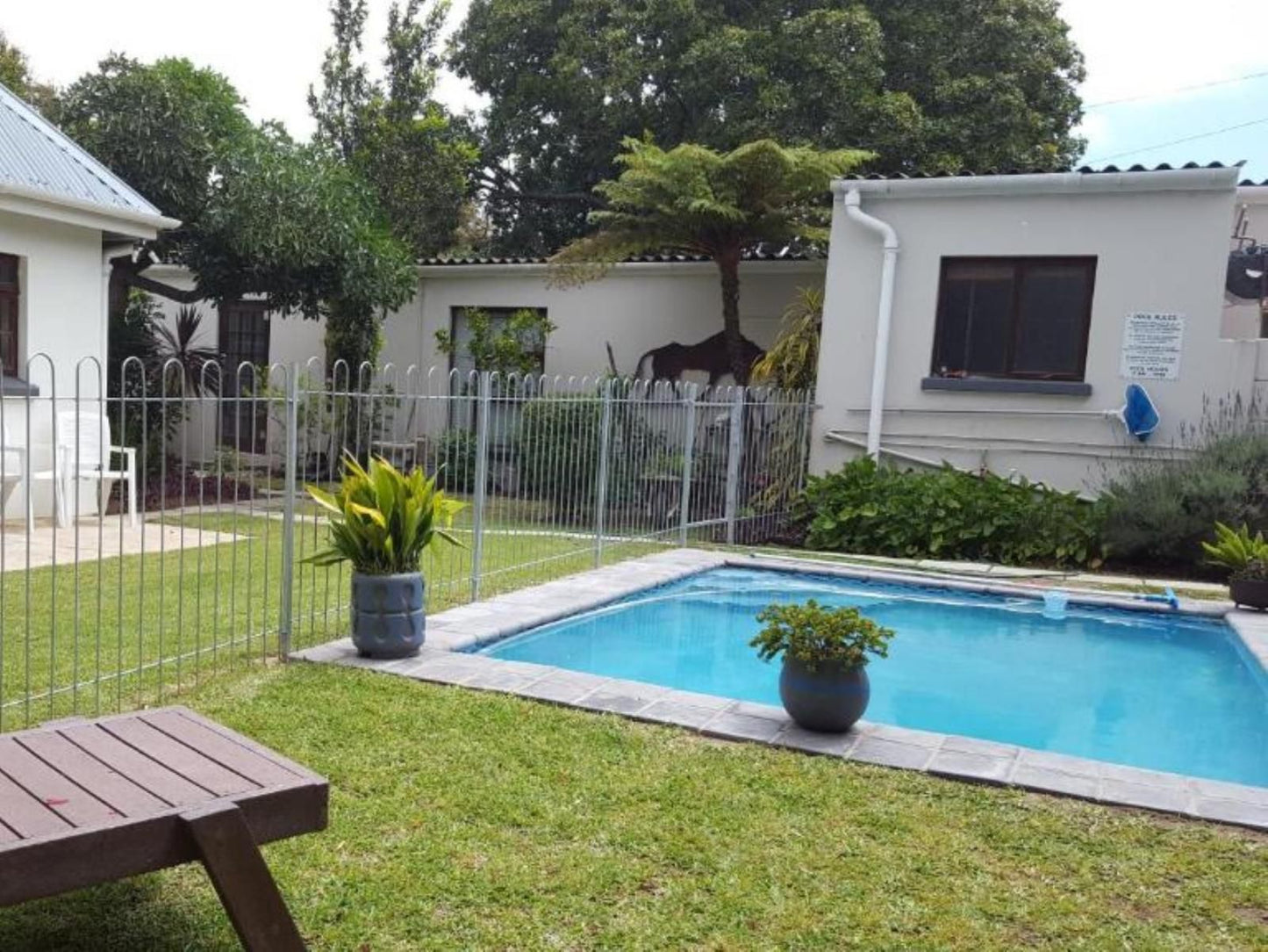39 On Nile Guesthouse Perridgevale Port Elizabeth Eastern Cape South Africa House, Building, Architecture, Palm Tree, Plant, Nature, Wood, Garden, Swimming Pool