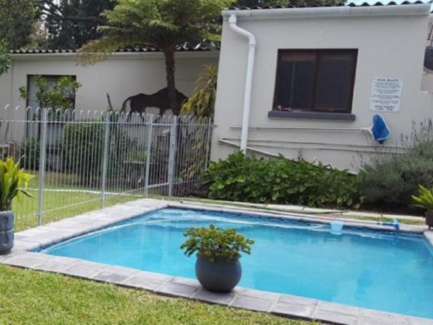39 On Nile Guesthouse Perridgevale Port Elizabeth Eastern Cape South Africa House, Building, Architecture, Garden, Nature, Plant, Swimming Pool