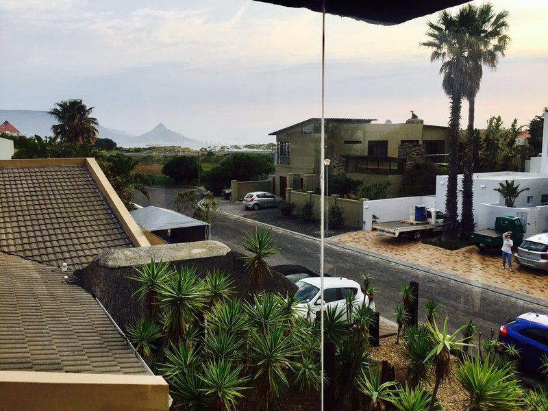 39 On Popham Table View Blouberg Western Cape South Africa Palm Tree, Plant, Nature, Wood