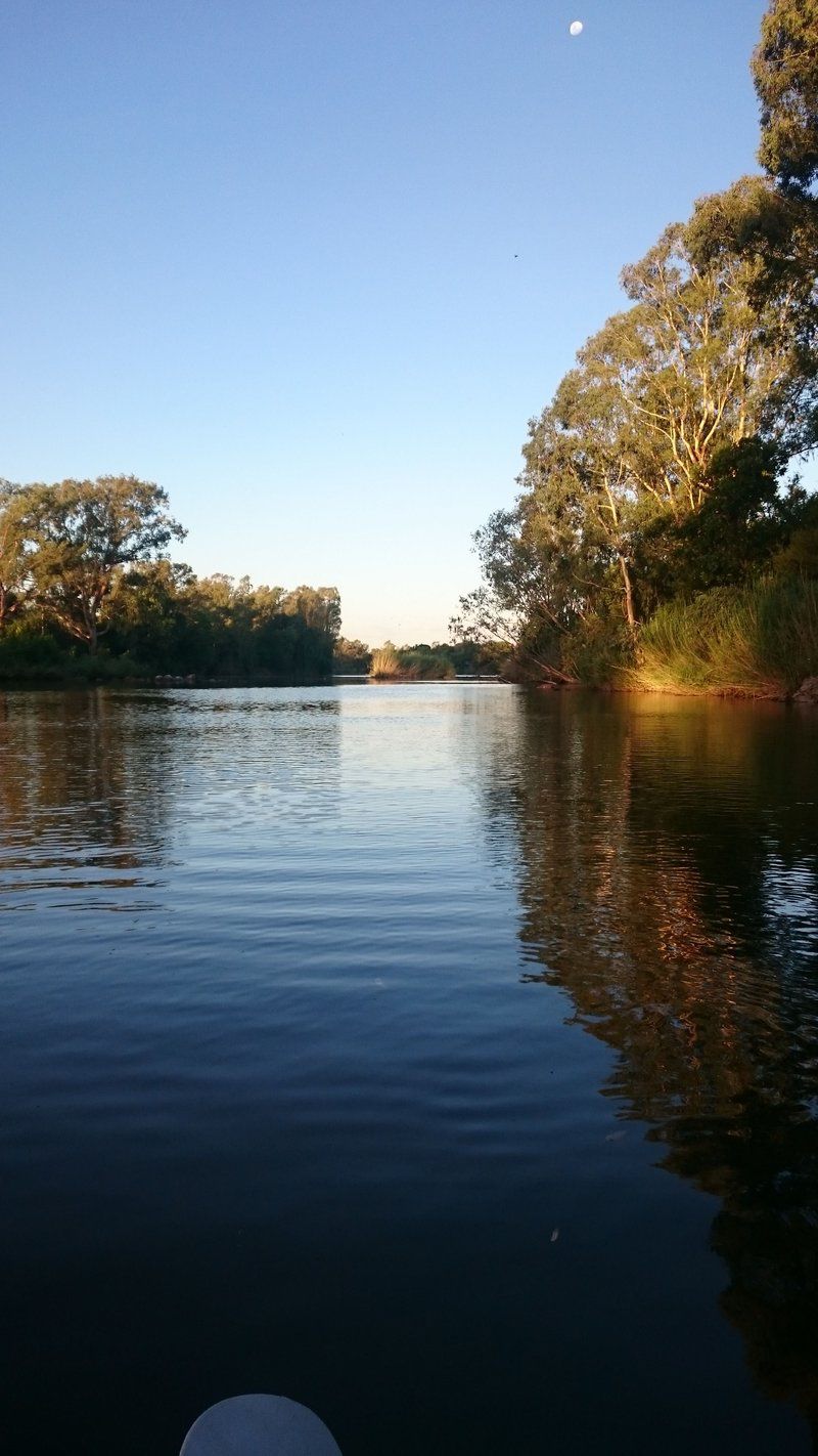 398 Vaal De Grace Golf Estate Parys Free State South Africa Boat, Vehicle, River, Nature, Waters