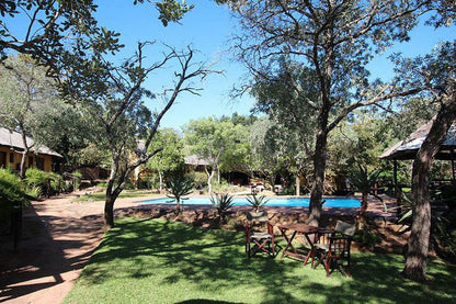 3 Day Kruger Experience Lodge Treehouse Balule Nature Reserve Mpumalanga South Africa Complementary Colors, Plant, Nature, Swimming Pool