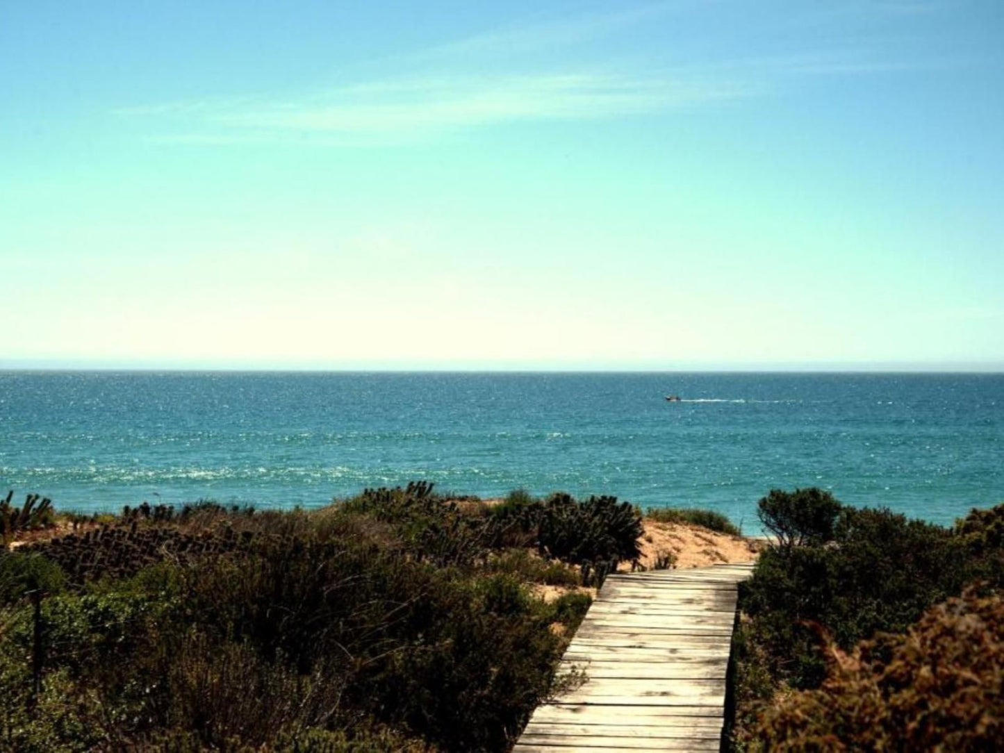 3 Dolphins Britannia Bay Western Cape South Africa Beach, Nature, Sand