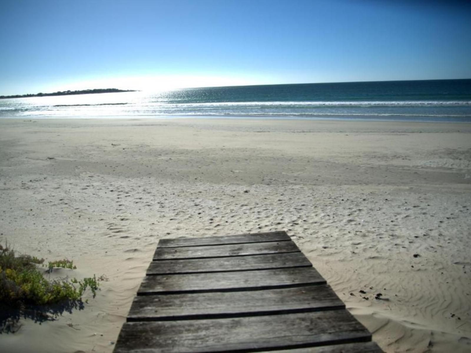 3 Dolphins Britannia Bay Western Cape South Africa Beach, Nature, Sand, Ocean, Waters