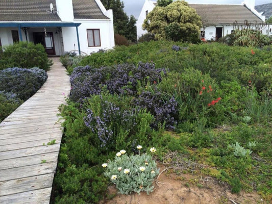 3 Dolphins Britannia Bay Western Cape South Africa House, Building, Architecture, Plant, Nature, Garden