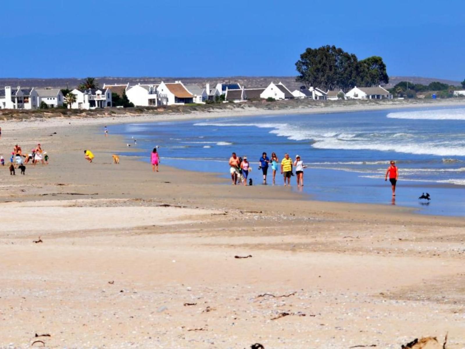 3 Dolphins Britannia Bay Western Cape South Africa Complementary Colors, Beach, Nature, Sand, Ball Game, Sport, Ocean, Waters