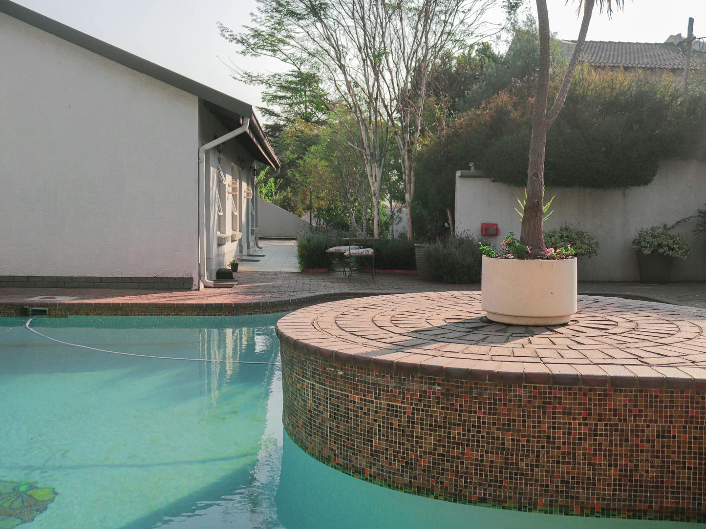 3 Liebeloft Guest House Edenvale Johannesburg Gauteng South Africa Garden, Nature, Plant, Swimming Pool