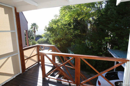 3 Plumtree Cottage Hout Bay Cape Town Western Cape South Africa Palm Tree, Plant, Nature, Wood, Swimming Pool