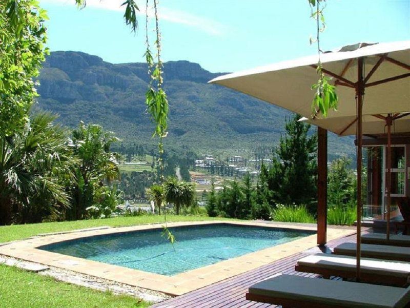 3 Plumtree Villa Hout Bay Cape Town Western Cape South Africa Mountain, Nature, Palm Tree, Plant, Wood, Highland, Swimming Pool