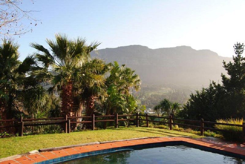 3 Plumtree Villa Hout Bay Cape Town Western Cape South Africa Palm Tree, Plant, Nature, Wood, Swimming Pool
