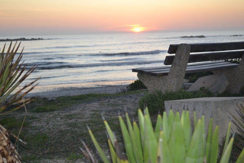 3 Zeezicht Bloubergstrand Blouberg Western Cape South Africa Beach, Nature, Sand, Palm Tree, Plant, Wood, Ocean, Waters, Sunset, Sky