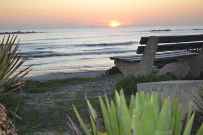 3 Zeezicht Bloubergstrand Blouberg Western Cape South Africa Beach, Nature, Sand, Palm Tree, Plant, Wood, Ocean, Waters, Sunset, Sky