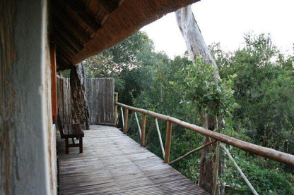 3 Night, 4 Day Marc's Treehouse Kruger Safari, Hoedspruit, Hoedspruit