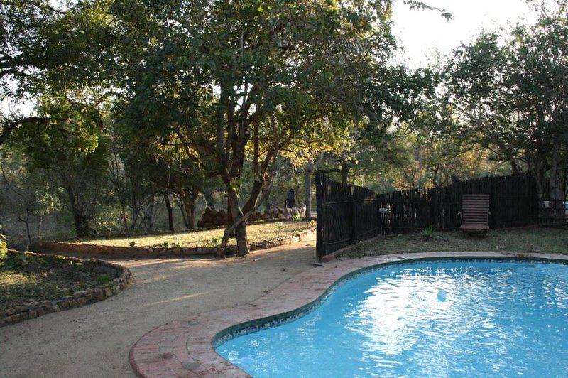 Tree, Plant, Nature, Wood, Garden, Swimming Pool, 3 Night, 4 Day Marc's Treehouse Kruger Safari, Hoedspruit, Hoedspruit