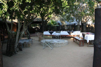 Bar, 3 Night, 4 Day Marc's Treehouse Kruger Safari, Hoedspruit, Hoedspruit