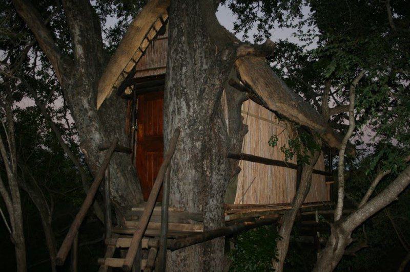 Building, Architecture, Cabin, Tree, Plant, Nature, Wood, 3 Night, 4 Day Marc's Treehouse Kruger Safari, Hoedspruit, Hoedspruit