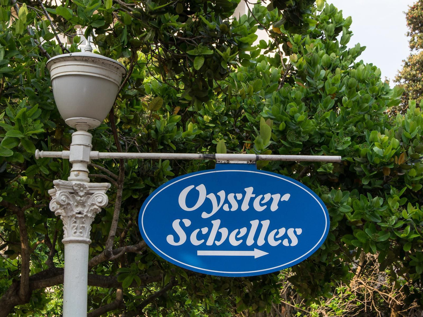 403 Oyster Schelles Umhlanga Durban Kwazulu Natal South Africa Sign, Food