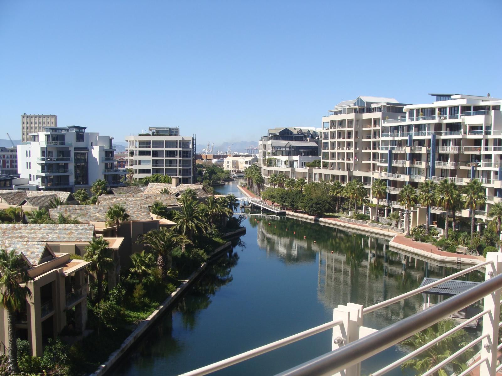 V And A Waterfront 405 Kylemore B V And A Waterfront Cape Town Western Cape South Africa Palm Tree, Plant, Nature, Wood, River, Waters, Skyscraper, Building, Architecture, City